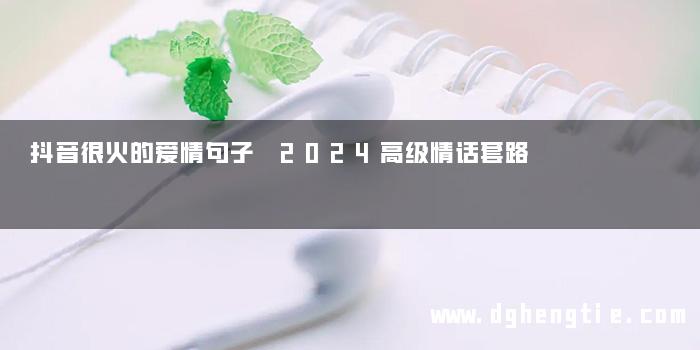 抖音很火的爱情句子 2024高级情话套路